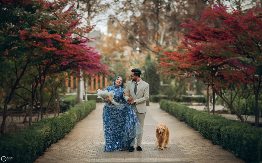 Couple walking in park with dog