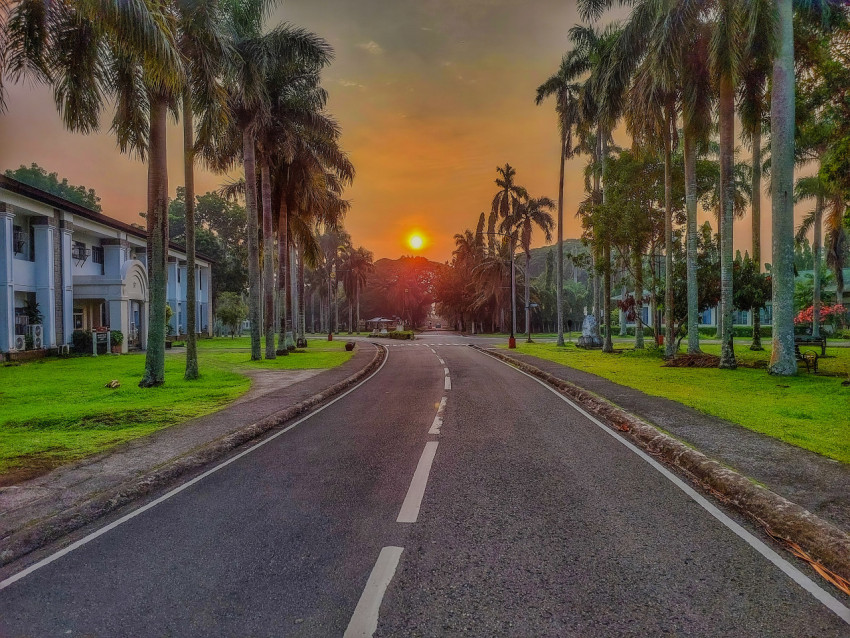 Uplb sunrise