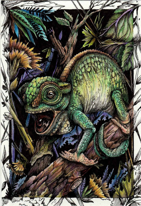 Chameleon card